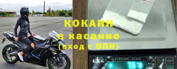 шишки Вязники