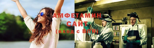 шишки Вязники