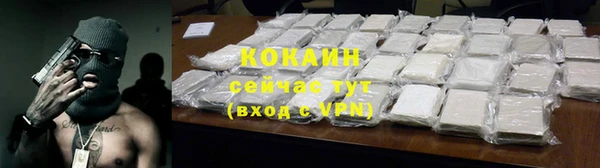шишки Вязники