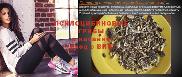 a pvp Вяземский