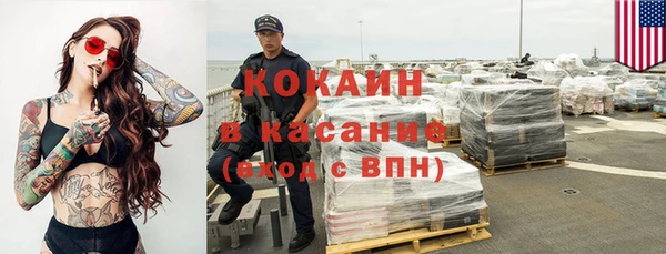 шишки Вязники