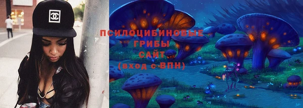 шишки Вязники