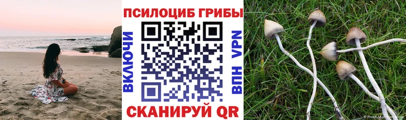 Псилоцибиновые грибы MAGIC MUSHROOMS  blacksprut ссылка  shop какой сайт  Чулым 